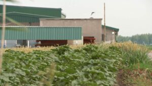 [Aggregator] Downloaded image for imported item #163187