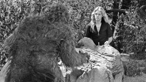 [Aggregator] Downloaded image for imported item #162412