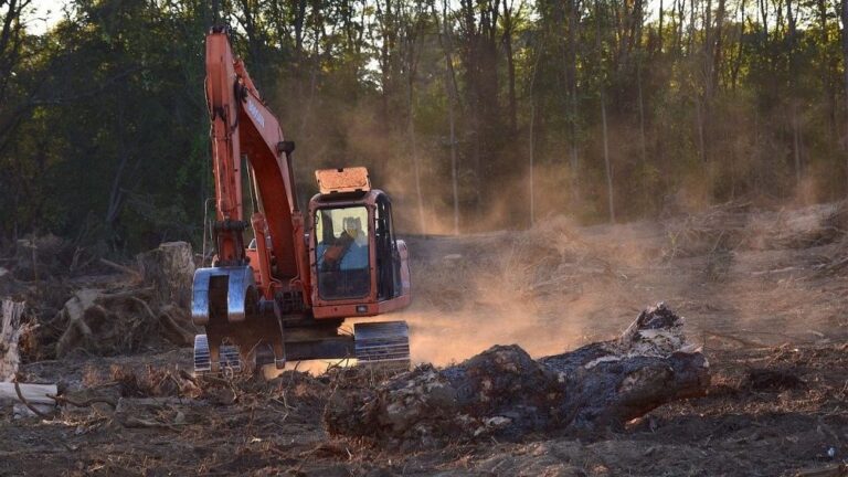 [Aggregator] Downloaded image for imported item #163433