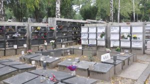 [Aggregator] Downloaded image for imported item #163675