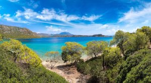 [Aggregator] Downloaded image for imported item #162198