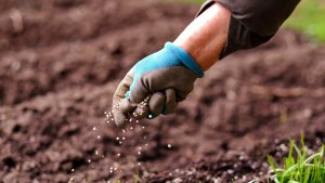 [Aggregator] Downloaded image for imported item #166096