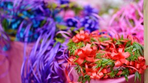 [Aggregator] Downloaded image for imported item #161789