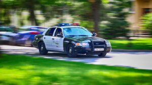 [Aggregator] Downloaded image for imported item #162955