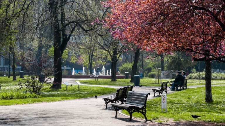 [Aggregator] Downloaded image for imported item #163930