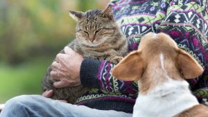 [Aggregator] Downloaded image for imported item #167187