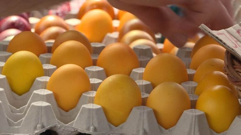 [Aggregator] Downloaded image for imported item #165680