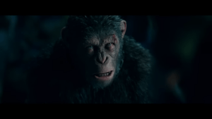 [Aggregator] Downloaded image for imported item #161804