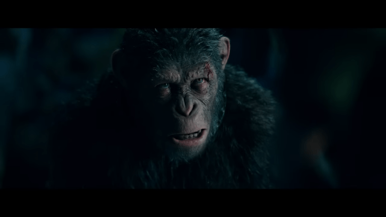 [Aggregator] Downloaded image for imported item #161804